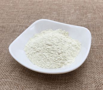 天然產(chǎn)物提取 山東正欣與您相約2021年上海食材展